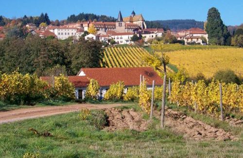 Cremeaux Casa | Gîte spacieux avec terrasse en pleine campagne à Crémaux - FR-1-496-220