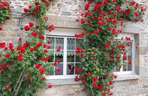 Mont-Dol Casa | Gîte Ti ar Rozenn