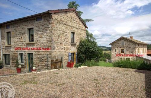 Belmont-de-la-Loire Casa | Gîtes au calme avec piscine et animaux admis, jusqu'à 13 personnes - FR-1-496-140