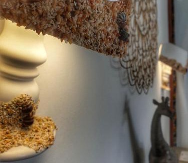 Jambiani Apartamento | Gadea Boutique Hotel& Gadea Garden Italian Restaurant