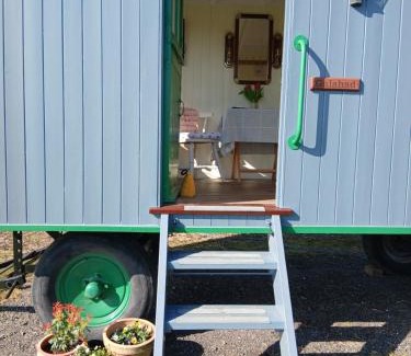 Northrepps Otro | Galahad - Shepherd's Hut