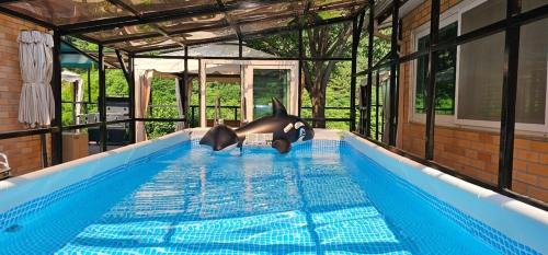 Gapyeong Casa | Gapyeong Gyegokae Poongdung Pension Camping