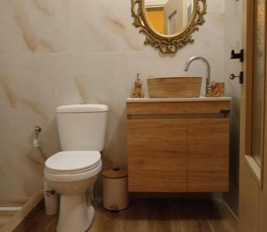 Konitsa Apartamento | Garavelas Home Το σπιτι στην Καστανιανη Μαστοροχωρια Κονιτσα