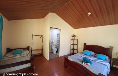 Bahía Drake Hotel | Garden of Heliconias Lodge