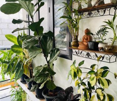 Kozhikode Casa | Garden view home stay for family near meitra hospital