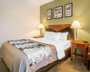 Panama City Beach Hotel | Garner Hotel Panama City Beach Northeast by IHG