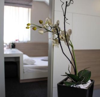 City Center Cama Y Desayuno | Garni Hotel Krevet&Dorucak