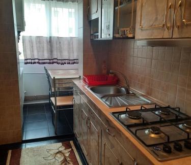 Slanic-Moldova Apartamento | Garsoniera MAIA Slănic-Moldova