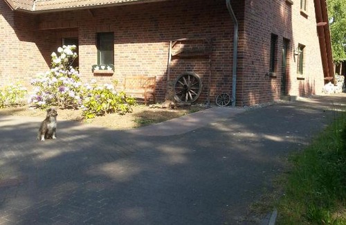 Lubmin Apartamento | Garten Eden