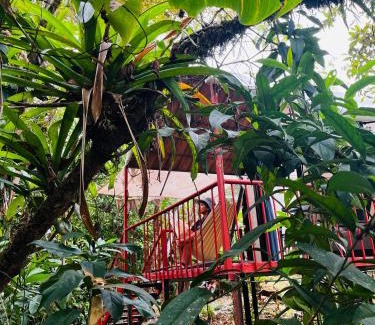 Katira Otro | Garza del Sol Glamping Bromelia