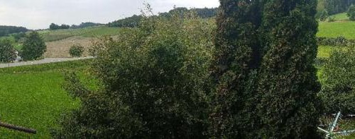 Falkenfels Casa | Gasthaus-Pension Hilmer