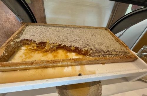 Katschberg Hotel | Gasthof Bacher