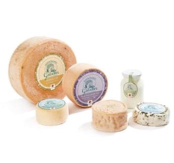 Chienes Apartamento | Gatscherhof - Nature, Cheese and Relax
