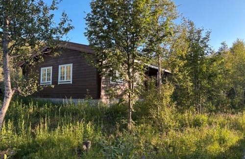 Hol Municipality Casa | Geilo - Hyggelig og sentral hytte