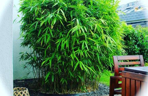 Saarbruecken Apartamento | Gemütliche Ferienwohnung mit Garten