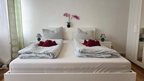 Offenburg Apartamento | Gemütliche Ferienwohnung mit großer Dachterasse