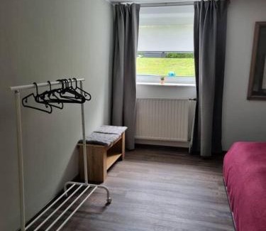 Sarreguemines Apartamento | Gemütliche Oase - Geräumige Unterkunft