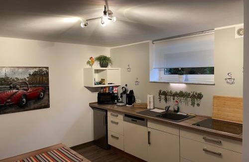 Sarreguemines Apartamento | Gemütliche Oase - Geräumige Unterkunft
