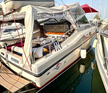 Romanshorn Alquiler De Eote | Gemütliches Motorboot im Yachthafen von Romanshorn