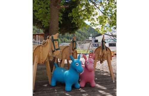 Niederthai Casa | Gentian Riding stable Alpine Appart