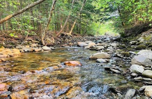 Jeffersonville Casa | Geodome 1min to Smuggler's Notch with hot tub & River
