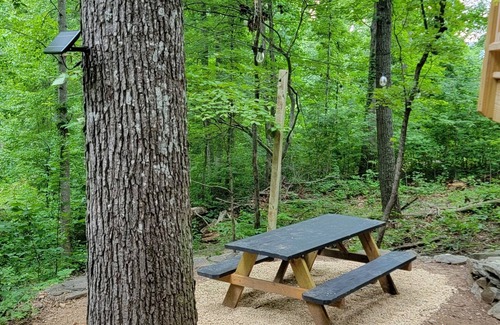 Swannanoa Cabina | Get back to nature! Unique cabin in the mountains 15 minutes from Asheville N.C.