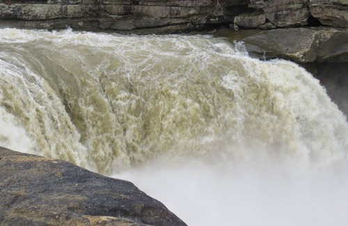 East Bernstadt Cabina | Romántico, idílico escondite ubicado en el bosque para dos con jacuzzi de gran tamaño.