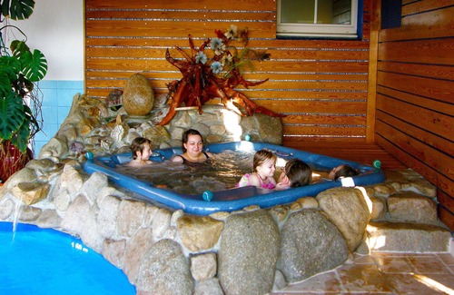 Gerardmer Casa | 2 casas rurales / chalet **** piscina cubierta para uso privado, cerca de las pistas a 900m