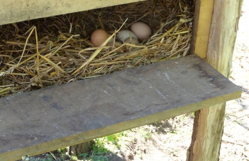 Criquetot-le-Mauconduit Casa | Casa rural Criquetot-le-Mauconduit, 2 dormitorios, 5 personas