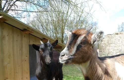 Criquetot-le-Mauconduit Casa | Casa rural Criquetot-le-Mauconduit, 2 dormitorios, 5 personas