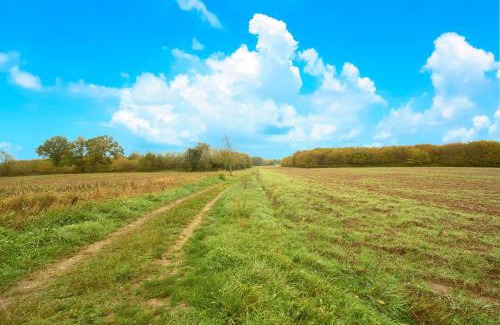 La Chapelle-Aubareil Casa | Gite La Bessede - Dordogne