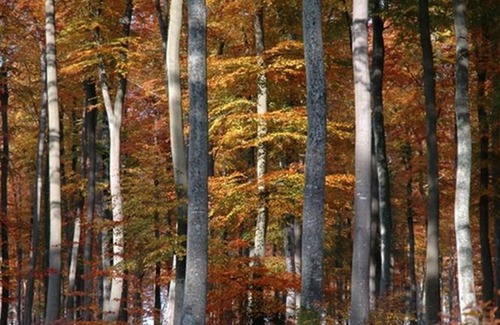 Vatteville La Rue Casa | Casa rural Vatteville-la-Rue, 2 dormitorios, 4 personas