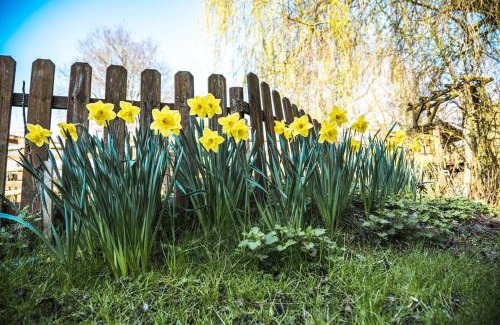 Jumencourt Casa | GITES CURCUMA et COMPAGNIE