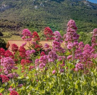 Rouffiac-des-Corbieres Chalet De Esquí | Gites Les Casots