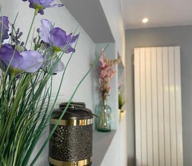 Ittenheim Casa | Gites Spa Strasbourg - Villa Cerf - SPA Privé, Sauna, Borne d'arcade, Babyfoot