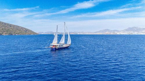 Bodrum City Center Alquiler De Eote | Giulietta