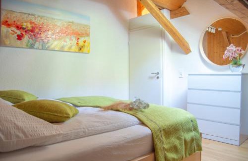 Triberg im Schwarzwald Apartamento | Glück und SPA in Triberg