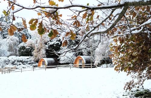 Royal Tunbridge Wells Otro | Glamping at Honnington Farm