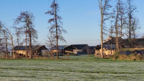 Hasselt Otro | Glamping Franse Peer