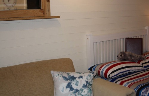 Strangford Cabina | Glamping con estilo en Seal Cabi