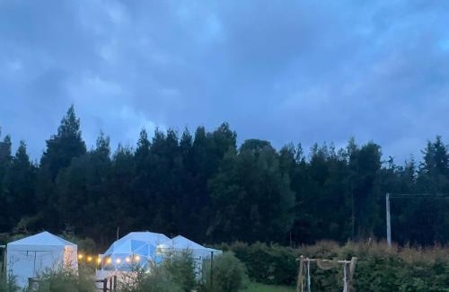 Sotaquira Otro | Glamping Irlanda
