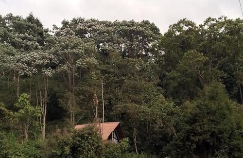 Manizales Cabina | Glamping Manzara