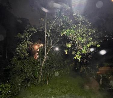 Manizales Cabina | Glamping Manzara