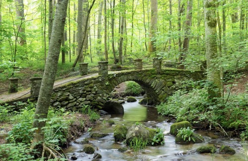 Bryson City Alquiler De RV | Glamping on the river front