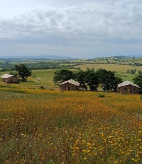 Magliano in Toscana Otro | Glamping Podere Angiotto LODGE LAVANDA