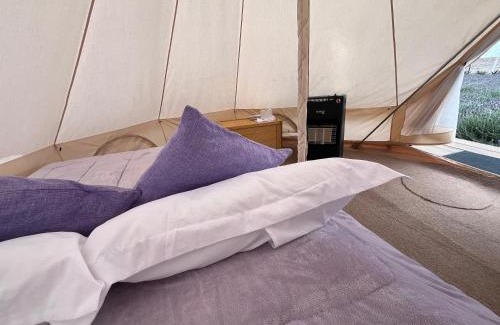 Texcoco de Mora Otro | Glamping Rincón de Lavanda