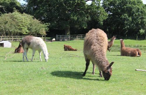 Stourbridge Otro | Glamping West Midlands