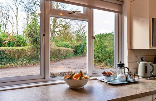 Wellington Cabaña | Glebe Cottage