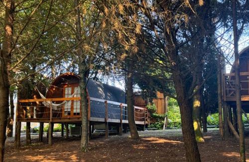 Freamunde Hotel | Glicínia Boutique Hotel