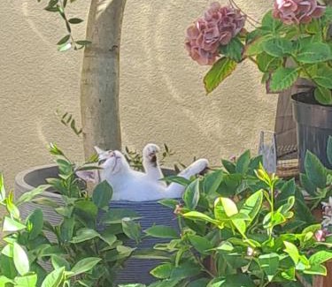 Bismark Apartamento | Gnaden -und Ferienhof Saale Wittgenstein